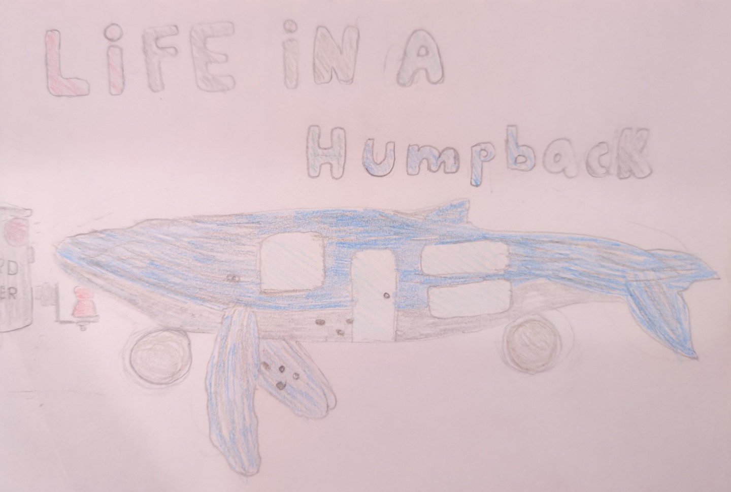 A humpback shaped Caravan